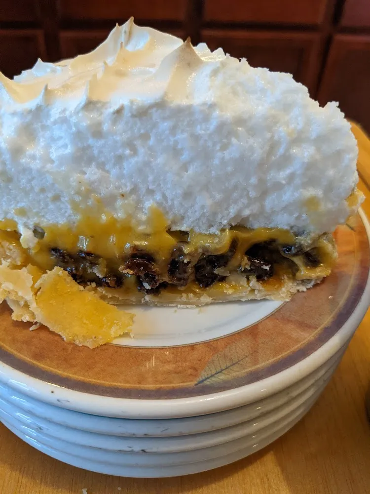 Sour Cream Raisin Pie